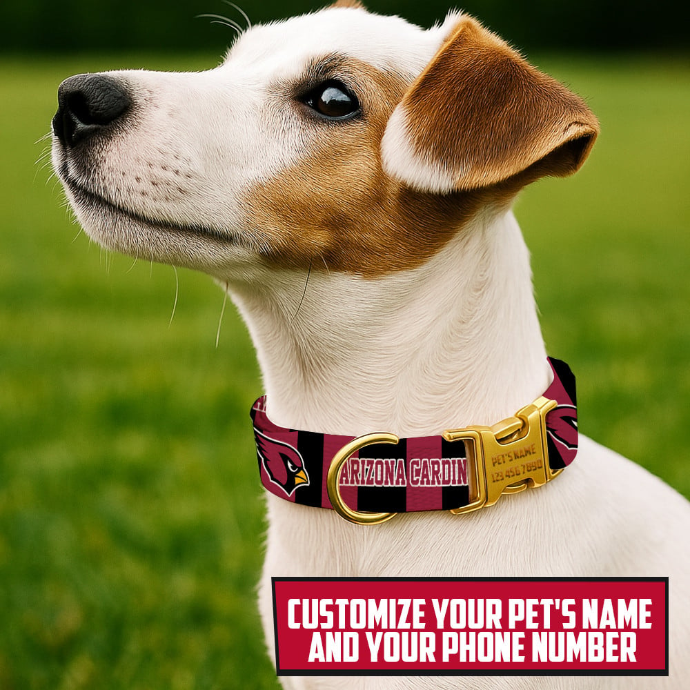 Premium NFL ARI Pet Collar V1 NMD TTV