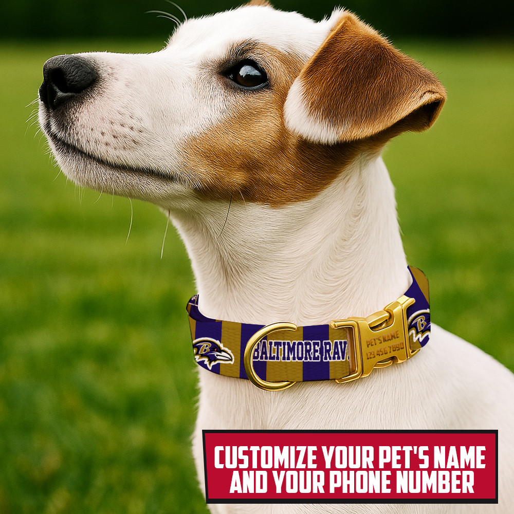Premium NFL BAL Pet Collar V1 NMD TTV