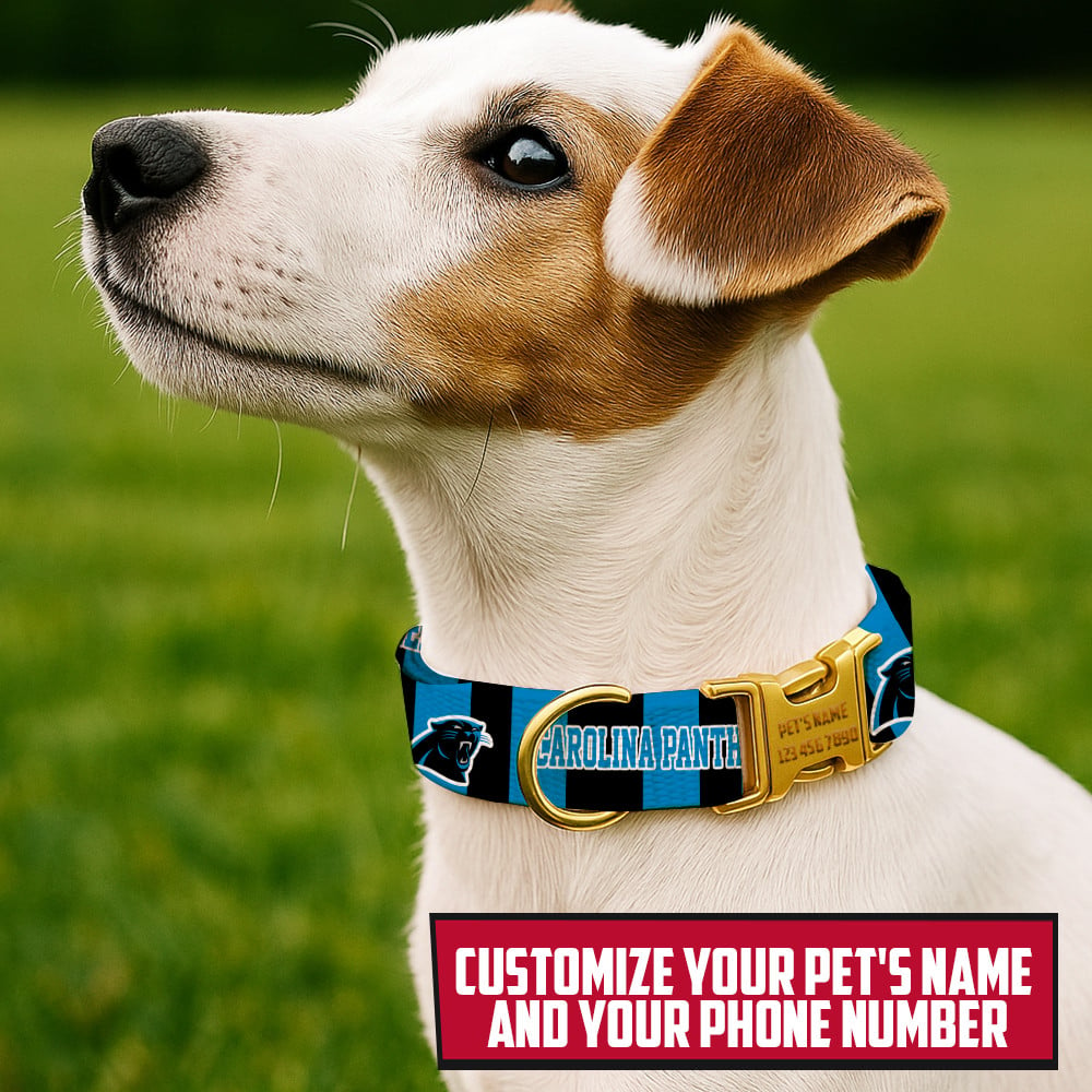 Premium NFL CAR Pet Collar V1 NMD TTV