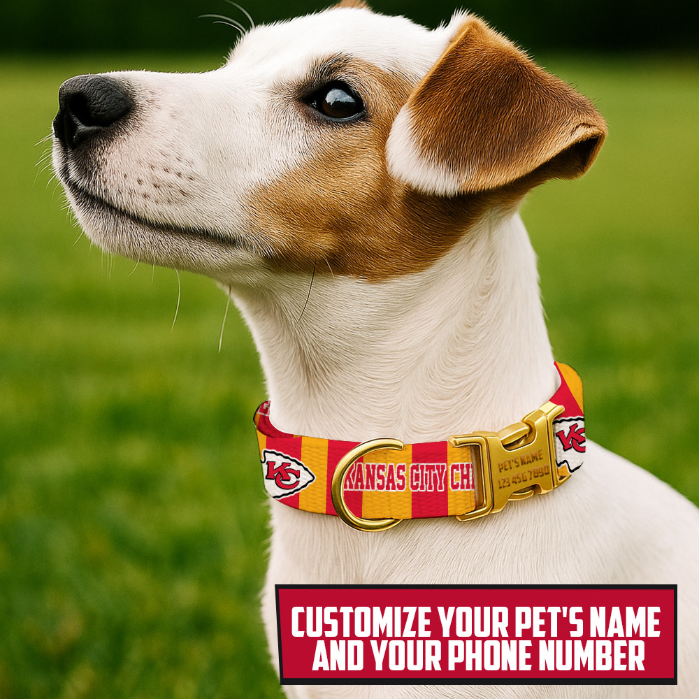 Premium NFL KC Pet Collar V1 NMD TTV