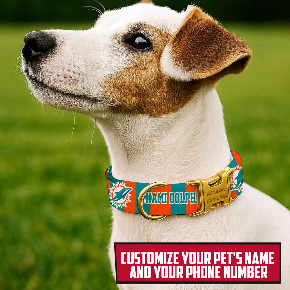 Premium NFL MIA Pet Collar V1 NMD TTV