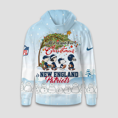 NEP Premium NFL Peanuts Snow Day Hoodie DDT CTND