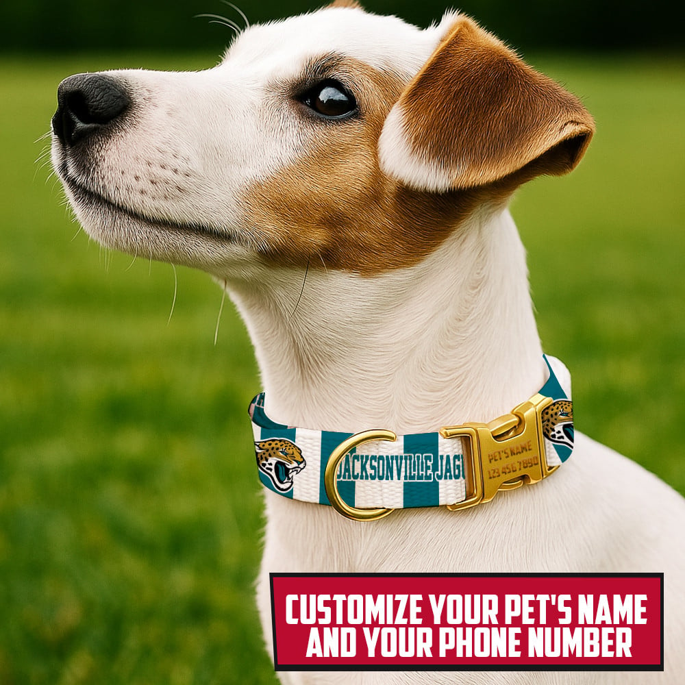 Premium NFL JAC Pet Collar V1 NMD TTV