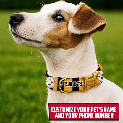 Premium NFL PIT Pet Collar V1 NMD TTV